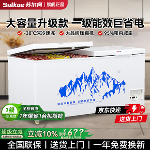 大容量冰柜商用冷藏展示柜速冻保鲜冰箱家用小型冷冻柜单温雪糕柜