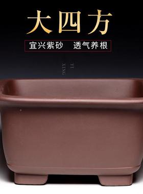 盆花君子兰花陶瓷大号中风KWA简约室内客厅国特大号发财树紫砂盆