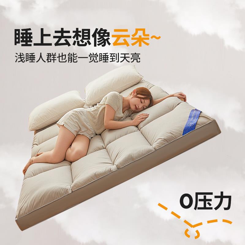 jyysrcdh0cm冬季丝棉床褥垫软垫家用床床褥垫防螨垫褥加厚垫被羽