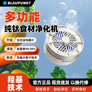 蓝宝果蔬清洗机家用/户外食材净化机果蔬净化器洗菜去农残洗菜机