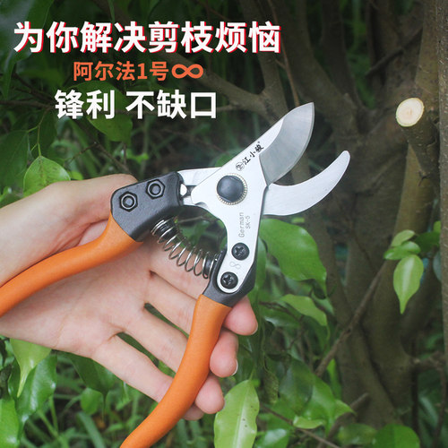 新款园林修枝剪刀粗枝硬枝果树修枝剪刀花枝修剪盆栽盆景修剪工具