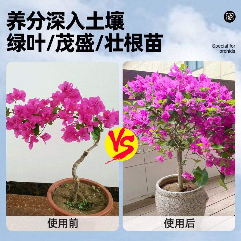 三角梅专用缓释肥梅花盆栽促开花肥料家用花卉植物通用颗粒复合肥