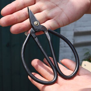 盆景修剪造型专用工具大号球节剪球节钳叶芽剪盆景修剪剪刀修剪钳