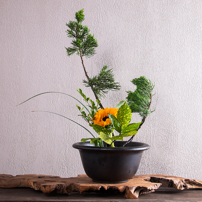 中华花艺梅花碗中式花器剑山插花器碗花螺纹陶瓷大碗日式禅意器皿