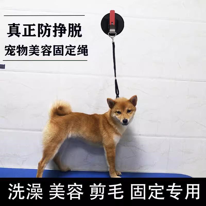 狗狗洗澡固定绳牵引绳防跑绳子猫咪宠物用品剪毛吹干防挣脱狗链子