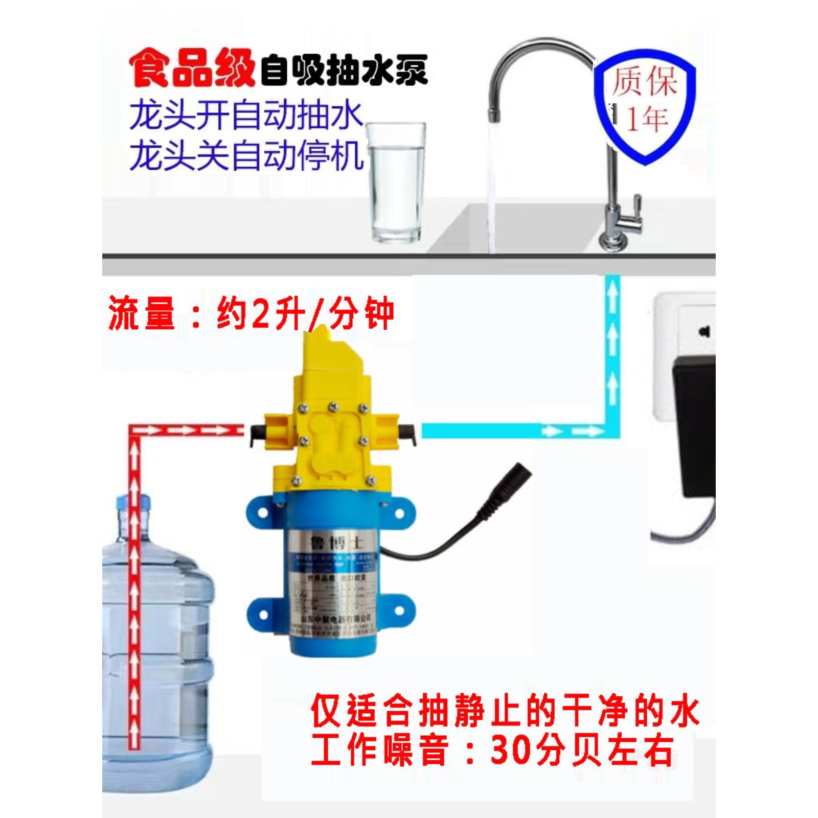 12V车载220V台下厨下抽水器龙头电动抽水泵房车餐车桶装水自吸泵