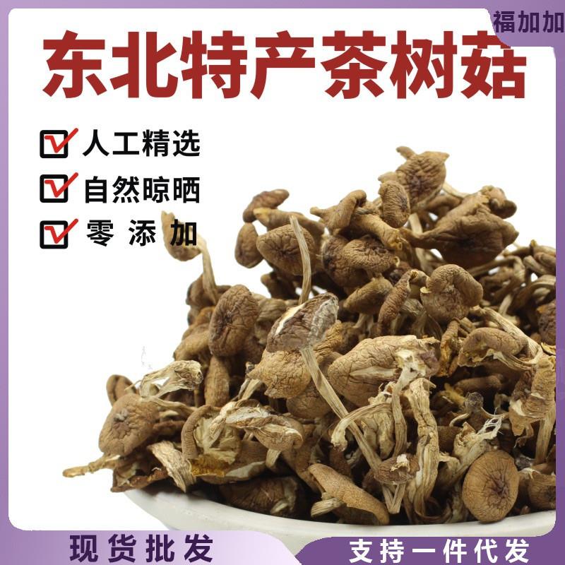 正宗东北特产茶树菇特干货