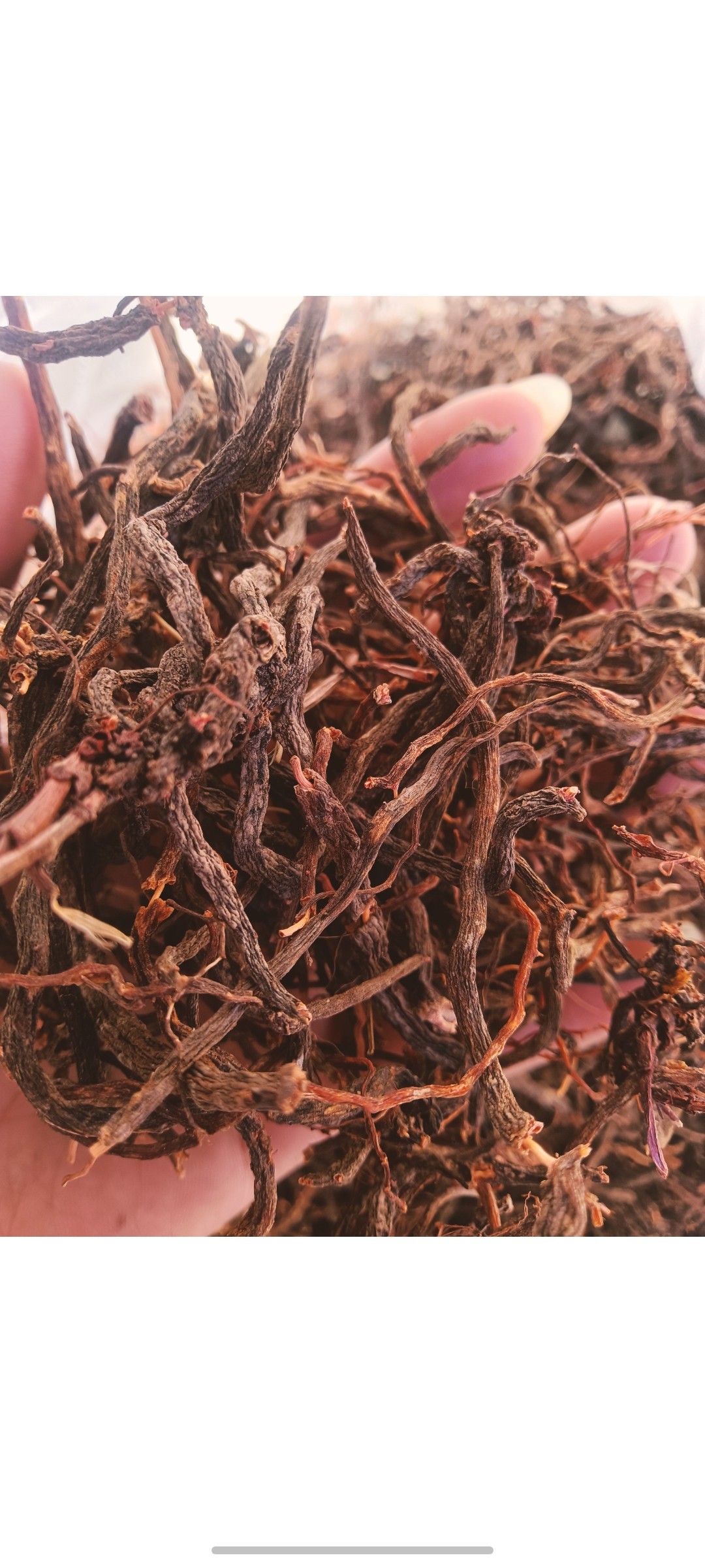 云南中药材小红参滇红参小红药小舒筋水洗新无硫干货食用泡酒炖汤