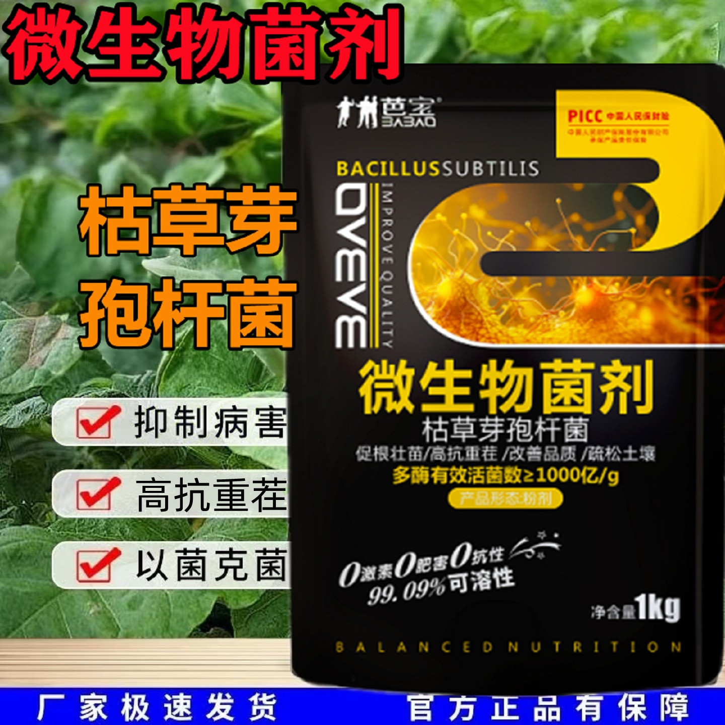枯草芽孢杆菌死棵烂苗枯萎根腐黄萎病青枯立枯病猝倒农用生物菌剂