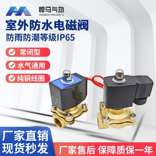室外防水全铜电磁阀2W160-15D水阀开关气阀220v24v4分6分1寸半2寸