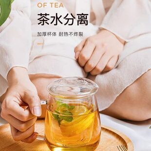 物生物办公室家用玻璃杯泡花茶水分离网红女透明带把盖耐高温杯子