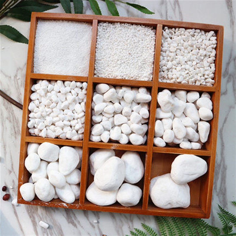 山东白石子白色石头白色砾石庭院园林铺路铺地花盆铺面白石子厂家