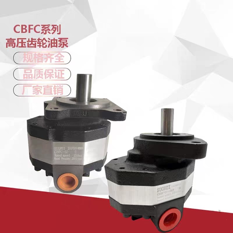 CB-FC40 CBFC50 泵齿轮泵油站液压油泵CBFC25 CBFC32 CBFC20  16