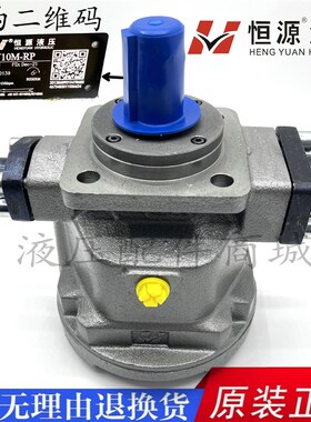 HY25Y-RP 16 32 40 63 80 100 160 250江苏恒源柱塞泵 HY10M-LP S