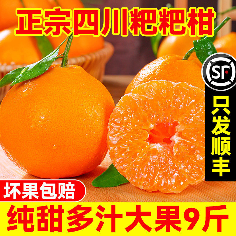 四川春见耙耙柑粑粑柑9斤整箱橘子甜当季杷杷新鲜水果丑柑桔年货