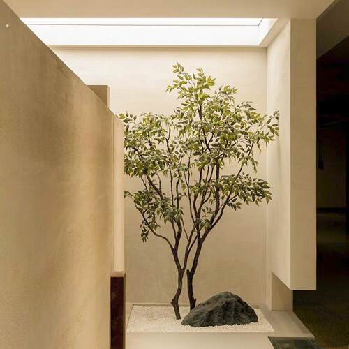 彷真绿色植物室内榕树景观造景假树彷生植物橱窗天井氛围树装饰摆