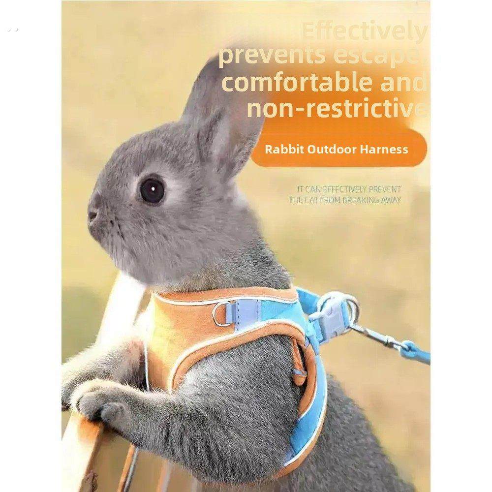 兔子牵引绳防挣脱遛小兔子专用神器背心式可伸缩外出的衣服溜绳子,宠物/宠物食品及用品,猫牵引绳,淘宝优惠券,粉丝福利购,淘宝优惠卷