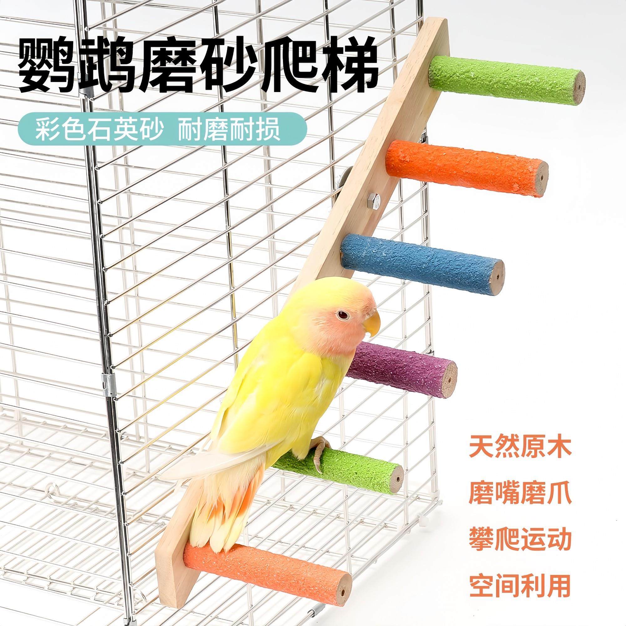 鹦鹉玩具小鸟云梯木梯互动爬梯磨爪嘴虎皮牡丹攀爬绳秋千配件用品,宠物/宠物食品及用品,鸟玩具,淘宝优惠券,粉丝福利购,淘宝优惠卷