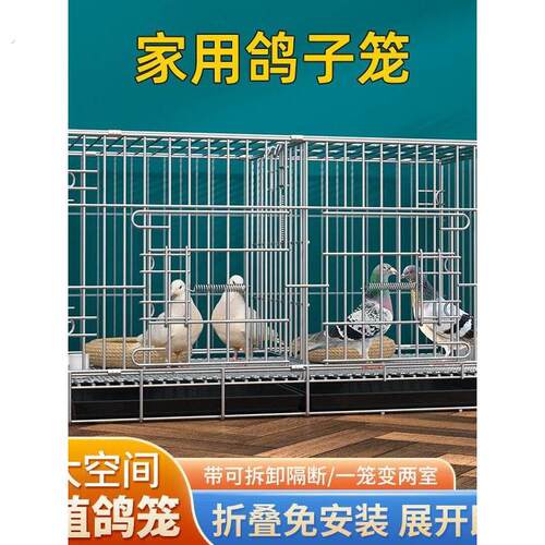 新型鸽子笼养鸽子专用笼养殖笼家用繁殖笼配对笼大号鸽舍鸽子笼子