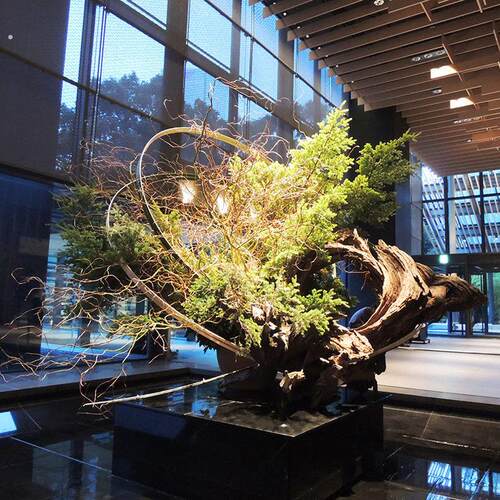 假树仿真树仿真植物商场景观绿植工程施工设计装饰室内外摆设大树