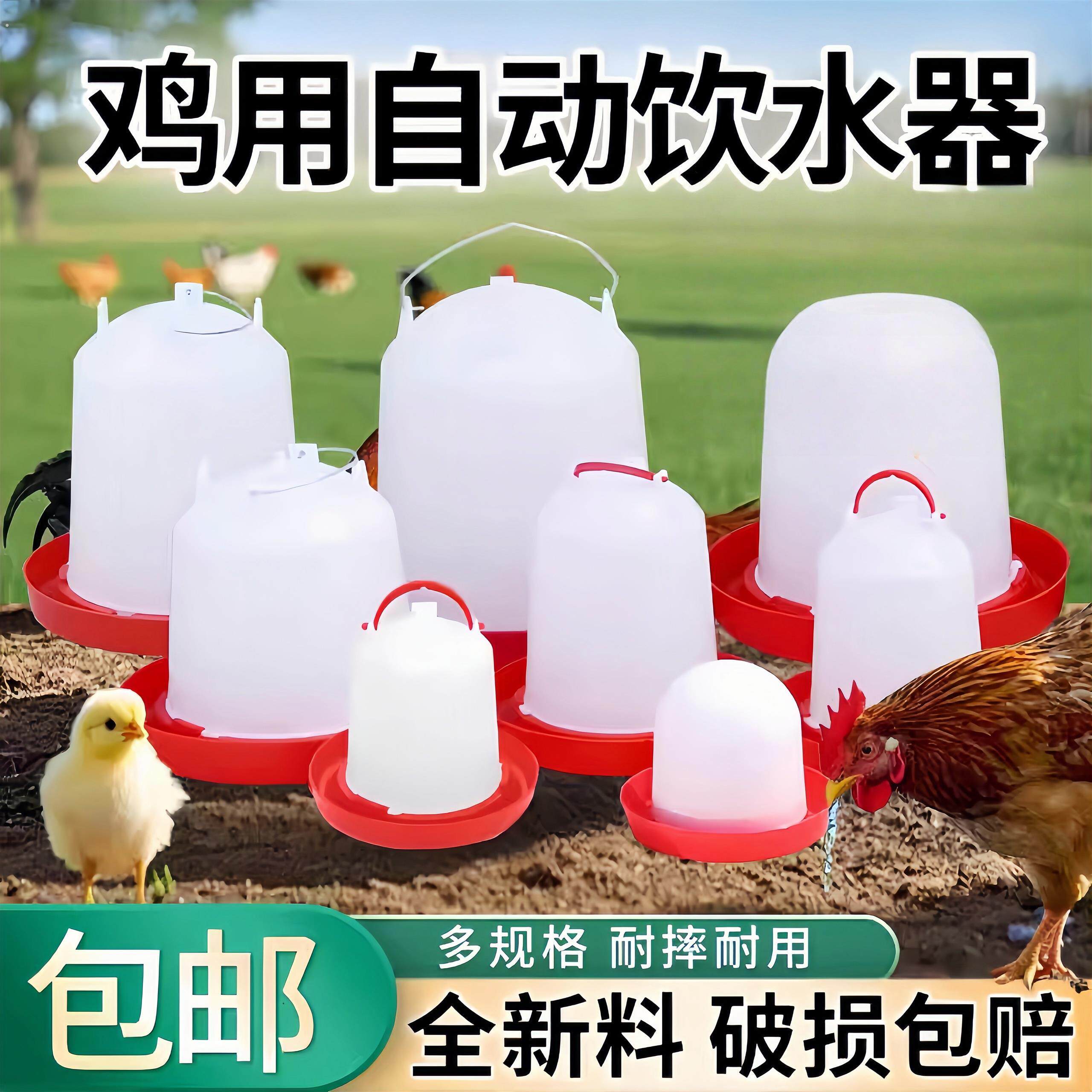 鸡饮水器小鸡喝水饮水神器喂鸡食槽鸡鸭鹅自动饮水喂食器水槽水壶