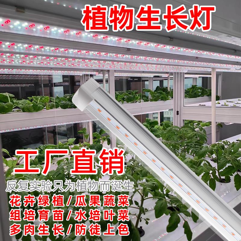 惠农植物生长补光灯室内花卉绿植育苗铁皮石斛金线莲组培灯补光灯