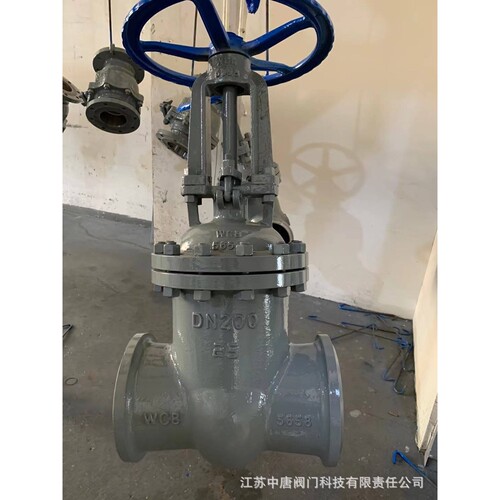 Z61H-25C铸钢焊接闸阀 WCB 蒸汽、导热油对焊闸阀 钢制楔式闸阀