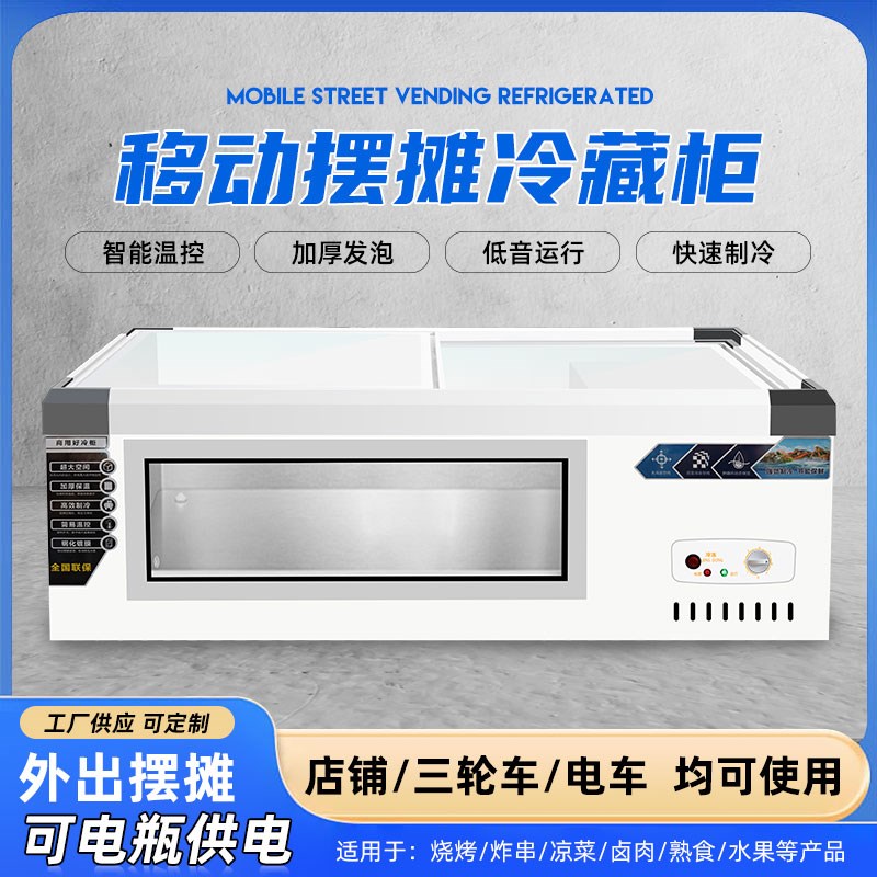 摆摊冰柜商用小型冷藏展示柜三轮车小吃炸串台式可移动冰箱冷冻柜