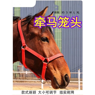马笼头全套可调马具编织牵马龙头套防磨纯手工马缰绳子马术的用品
