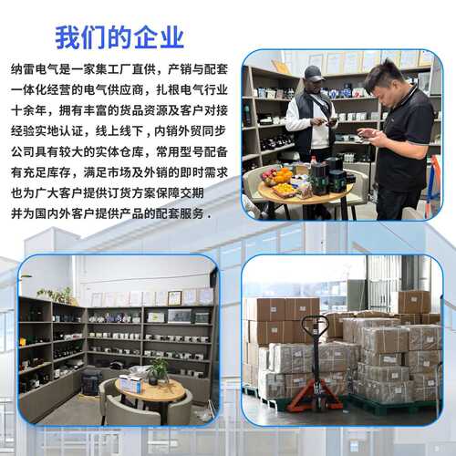 双电源自动转换开关英文110V美规不断电毫秒级切换2P发电机款100A