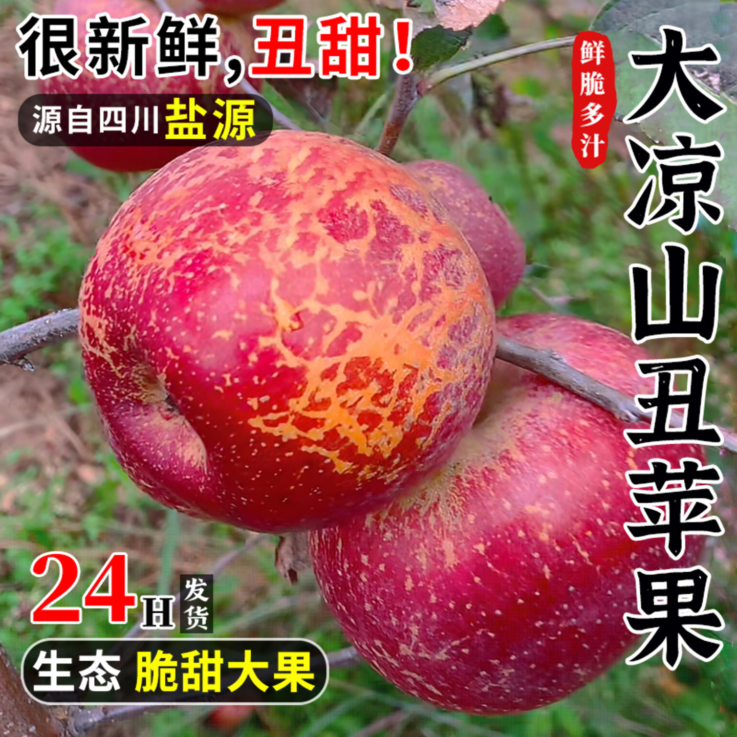 大凉山盐源冰糖心丑苹果脆甜9斤
