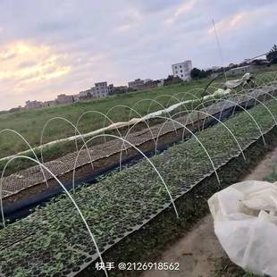 实心拱棚小支架蔬菜拱杆农用保温棚骨架不老化高弹力玻璃纤维棒