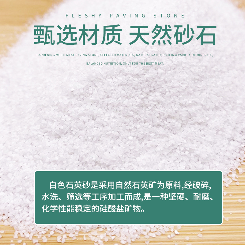 丙烯画白石英砂白色细沙鱼缸装饰水过滤白砂酒店烟灰缸儿童造景沙图片