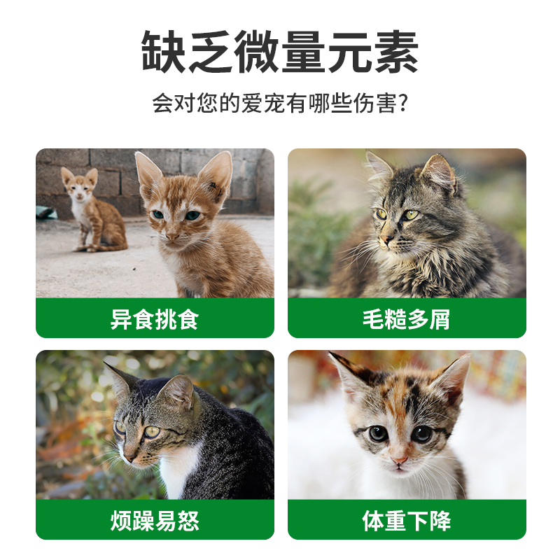 微量元素片老幼猫咪狗狗宠物犬用防止异食癖增强营养维生素
