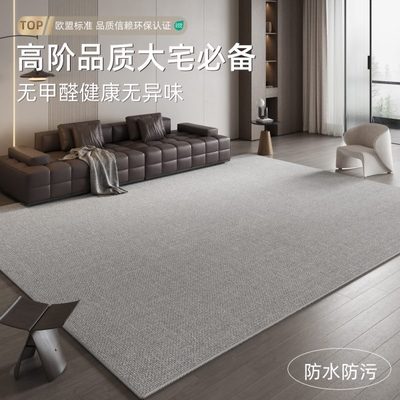 地毯客厅免洗可擦2025新款轻奢高级感灰色免打理沙发防水卧室地垫