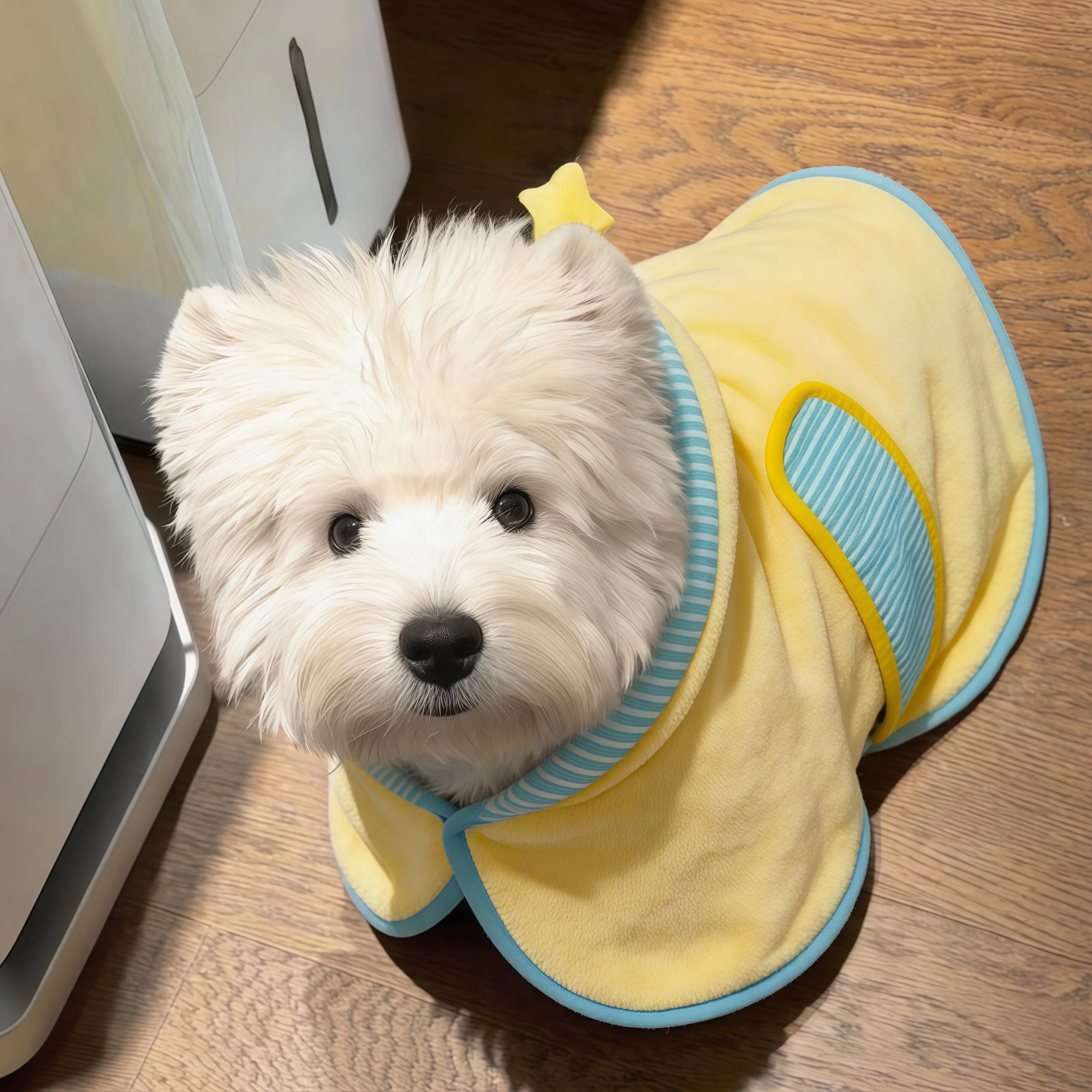狗狗星星人浴袍小型犬吸水毛巾洗澡浴巾猫咪沐浴速干服装宠物用品