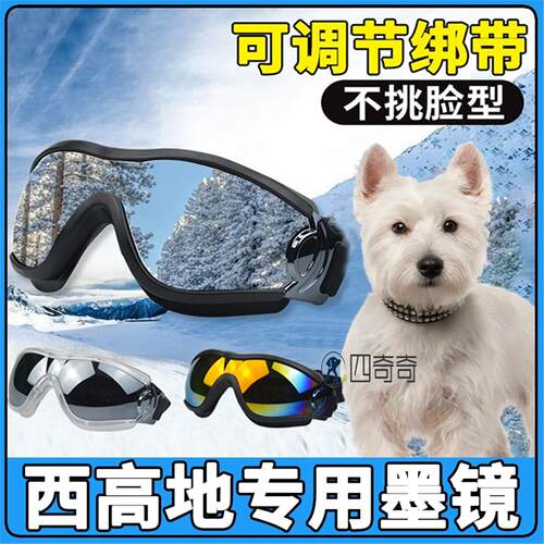 西高地专用狗狗护目镜墨镜小型犬宠物防风眼镜小狗外出骑行太阳镜