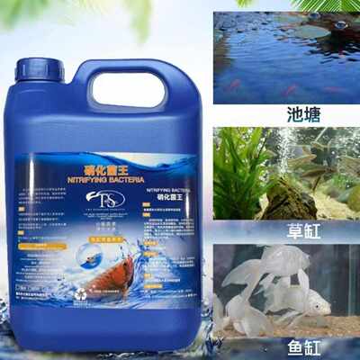 硝化细菌5L水族消化菌鱼缸锦鲤鱼池专用大桶水质稳定剂净水清澈剂