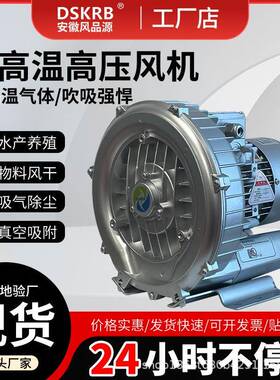 厂家供应湖南2RB230H06380V0.4KW牲畜化粪池发酵曝气漩涡风机