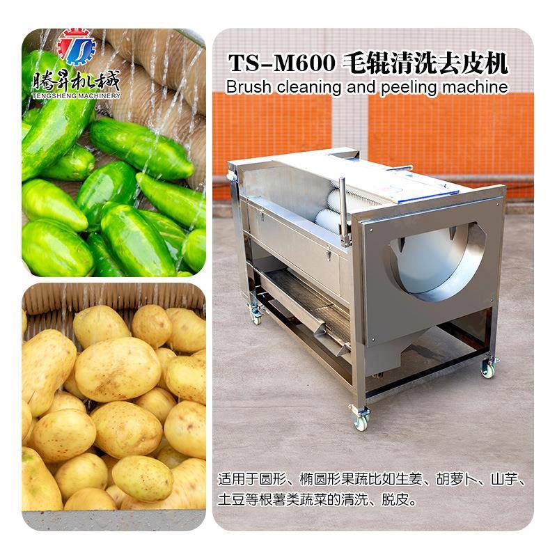 马蹄处理机器中型荸荠洗沙除杂机水栗自动洗泥机马蹄清洗机厂