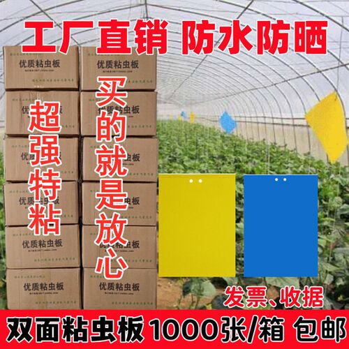 粘虫板黄板蓝板双面诱虫板粘蓟马贴飞虫防水防晒超强特粘大棚果园