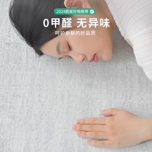 轻奢高级现代简约家用沙发茶几卧室地垫 地毯客厅免洗可擦2024新款