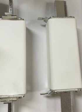 定制款熔断器 NH1L R032A