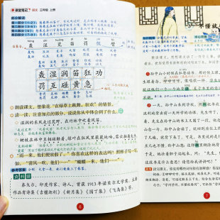 2025新版三年级上册语文同步课堂笔记人教版教材讲解全解解读学霸笔记生字组词词语成语解释提前学预习课后复习总结教师教辅书荣恒