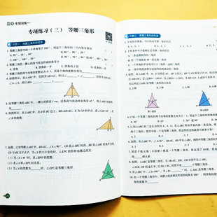轴对称练习册八年级上册数学专项训练全等三角形分式解方程整式的乘法与因式分解计算题应用题知识点讲解案例分析强化训练方程荣恒