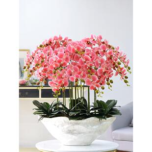 特大蝴蝶兰人造花套装假花盆塑料花酒店大堂客厅入口装饰陈设