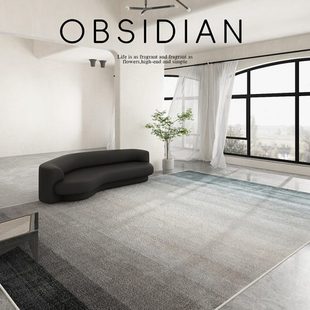 沙发简约客厅色轻奢茶几毯家用高级地毯子2023可定制黑灰 地垫新款