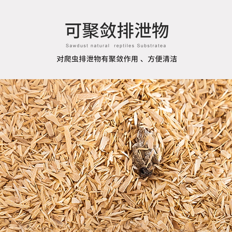 新派WACOOL玩酷白杨木屑蛇垫材爬宠玉蛇饲养箱造景垫料无尘除臭