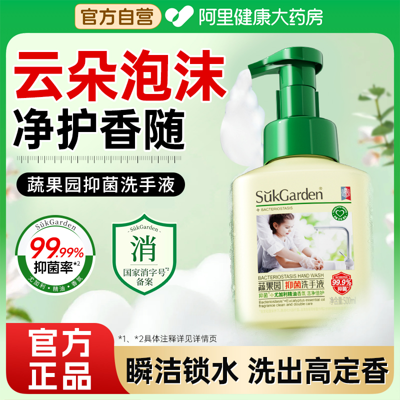 蔬果园泡沫抑菌洗手液家用滋润官方正品儿童杀菌抗菌便携按压保湿
