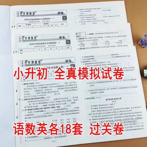 小升初押题卷全真模拟试卷